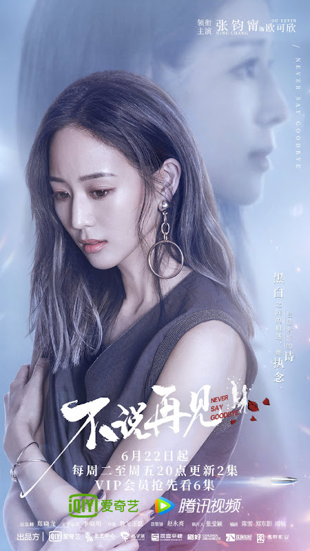 Never Say Goodbye China Web Drama